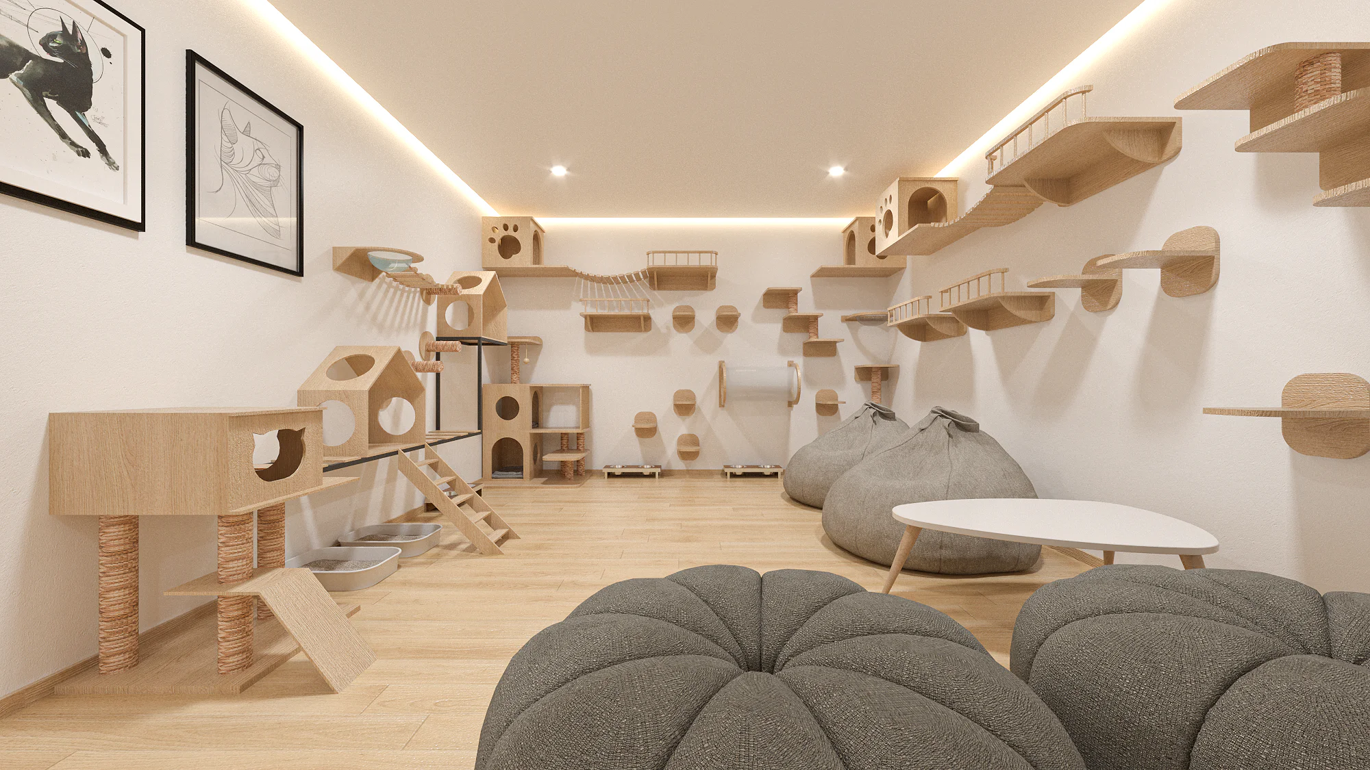 cat room (1)